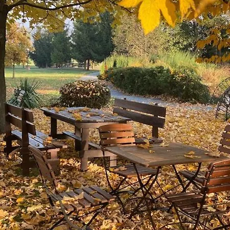 Bed and breakfast Natura Dolsk